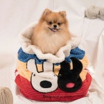 [오늘출발][로켓배송]레드퍼피 애견용 프로스티 우주선 이동가방 다크블랙 대형(42 x 22 x 27 cm) 1개 - 에누리 가격비교 [오늘출발]... 