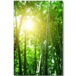 꾸밈 햇살 아래 대나무 숲 아크릴 액자 대형 - 에누리 가격비교