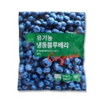 솜인터내셔널 유기농 냉동 아이스 블루베리 500g [3개] - 에누리 가격비교