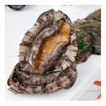 완도전복주식회사 완도 활 中 전복 8~9개(마리) 450g [1개] - 에누리 가격비교