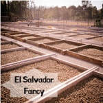 필더컵 엘살바도르 팬시 500g[1개] - 에누리 가격비교