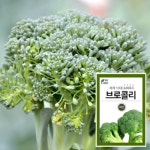 마이플랜트 브로콜리 씨앗 [200립] - 에누리 가격비교