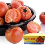 은기농장 설향딸기 중품(잼용) 500g[1개] - 에누리 가격비교