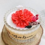 카네이션캔들 쁘띠메리고 - 에누리 가격비교