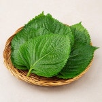 곰곰 GAP 깻잎 30g 3개 - 에누리 가격비교
