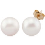 더스톤즈 14K 베이직 담수진주 귀걸이 9.0mm - 에누리 가격비교