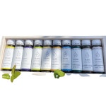 일랑더치 10종 10개입 앰플세트 [1개] - 에누리 가격비교