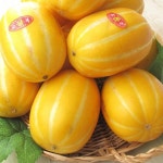 다모아영농조합법인 수야네 성주 참외 실속형 6~10개(과) 2kg[1개] - 에누리 가격비교