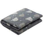 한일의료기 코지베어 고급 전기요 [소형, 67.5x180cm] - 에누리 가격비교