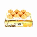 나주과수생산유통영농조합법인 나주 빛가람배 특 9~10개(과) 7.5kg [1개] - 에누리 가격비교