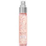 록시땅 체리 블라썸 멀티퍼포즈 프레시 미스트 50ml [5개] - 에누리 가격비교
