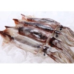 물고기삼촌 냉동 오징어 9-11미 2.8kg [1개] - 에누리 가격비교