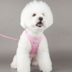 쥬쥬베 이탈리아 에어매쉬 하네스 핑크 [M] - 에누리 가격비교