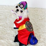 퍼피짱 도령 배자 - 에누리 가격비교