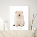 오홀리브 차우차우 기본다리 접이식 액자테이블 [60x40cm] - 에누리 가격비교