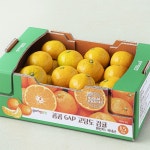 안덕농협 곰곰 GAP 고당도 감귤 1.5kg[1개] - 에누리 가격비교