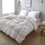 침구/커튼/카페트 - 에누리 가격비교