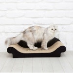 펫토리아 한발뚝딱 라운지 캣스크래쳐 PU-069 [블랙] : 에누리 가격비교