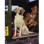 홀슨 자크 [1000P] - 에누리 가격비교