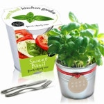 세경팜 양철키친가든 스윗바실 - 에누리 가격비교