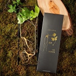 명가일품 명가천삼 강원도 토종 산양삼 5~6년근 2뿌리 [2개] - 에누리 가격비교