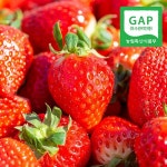 웰굿 논산 달콤한 금실딸기 상과 35~42과(개) 750g [1개] - 에누리 가격비교