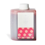 안드레아플러스 프리스 딸기 1kg [1개] - 에누리 가격비교