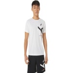 아식스 드라이 숏슬리브티 2031E005-100 : 에누리 가격비교