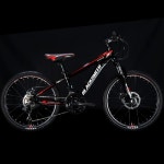 블랙스미스바이크 페트론 2.2 (2021년형) - 에누리 가격비교