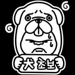 뭉키월드 자동차 스티커2 견초보 01 LSC-203 [반사] - 에누리 가격비교