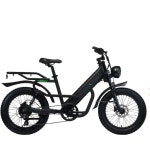 알톤스포츠 코디악 T20 PAS (2024년형) [48V, 15Ah] - 에누리 가격비교