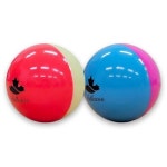 디바이드 파크골프공 - 에누리 가격비교