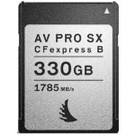 엔젤버드 AV PRO SX CFexpress 타입B [330GB] - 에누리 가격비교