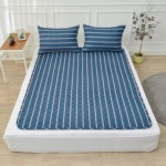 한솔의료기 스트라이프 블루 탄소매트 [싱글, 105x180cm] - 에누리 가격비교