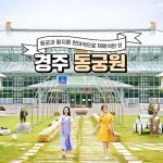경주 버드파크 입장권 [대인1] - 에누리 가격비교