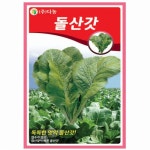다농 돌산갓씨앗 20ml - 에누리 가격비교