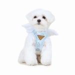 이츠독 블루밍 엔젤 베스트 하네스 (Blue) - 에누리 가격비교