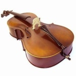 현악기 - 에누리 가격비교