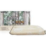 대신전자 금강약돌 찜질기 DS-3862 - 에누리 가격비교