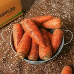 농부마음 흙당근 3kg 특품/반찬용 - 에누리 가격비교