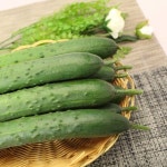 맛나 여우마을멸치액젓 9KG/ 주 엠디 : 에누리 가격비교