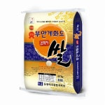 등룡미곡종합처리장 2019 부안계화도 간척지쌀 20kg [1개] - 에누리 가격비교