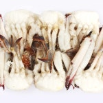 바다해수산 바다해 절단꽃게 2L 450g [1개] - 에누리 가격비교