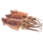 씨토랑 포항 구룡포 마른오징어 5미 250g [1개] - 에누리 가격비교