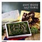삼모아농장 삼모아 장뇌산삼 5년근산[7뿌리] - 에누리 가격비교