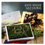 삼모아농장 삼모아 장뇌산삼 5년근산[5뿌리] - 에누리 가격비교