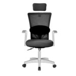 바른자세연구소 화이트 바른자세 세트 - 에누리 가격비교