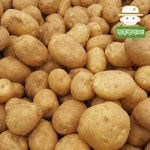 삼촌농장 속깊은 꿀맛 수미감자 대 3kg [1개] - 에누리 가격비교