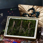 삼모아농장 삼모아 장뇌산삼 7년근산[3뿌리] - 에누리 가격비교