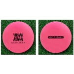 에이치알바이오 제이온 웨이메이커 비비드 4피스 무광 파크골프공 [1개] - 에누리 가격비교